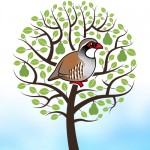 Partridge in a Pear Tree