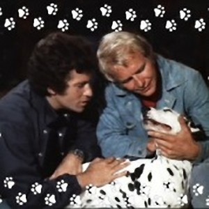 SHaronsChristmasDalmationLARGER